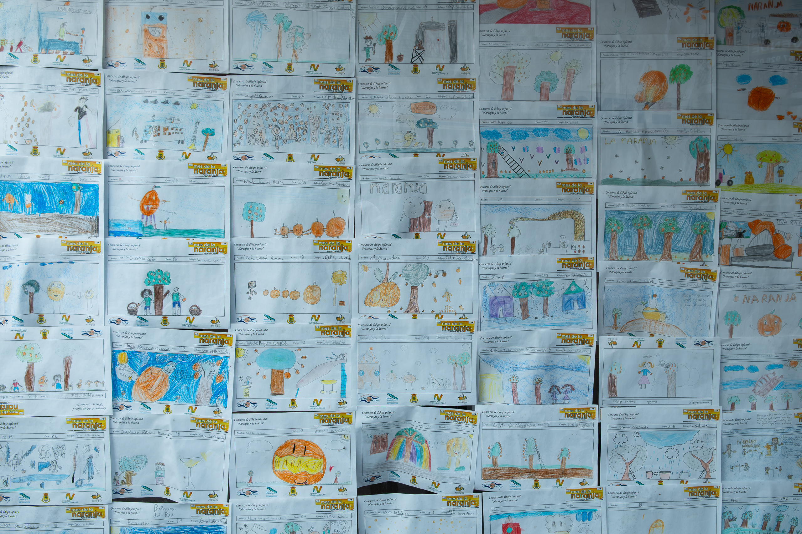 Kinderzeichnungen zum Thema Orangenernte in Palma del Río